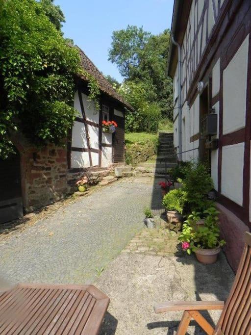 Ferienwohnung Tiererlebnishof Obermuehle Biebergemund Экстерьер фото
